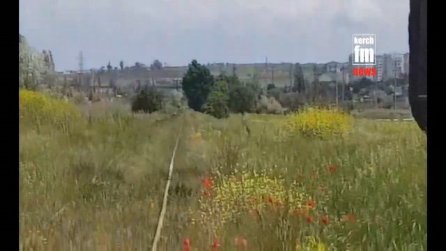Симафор на Марата 4 в Керчи свистит уже час смотреть онлайн