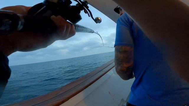 Wide open yellowtail paddy fishing on the Old Glory sportfishing H&M landing San Diego смотреть онлайн