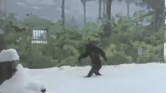 горилла идёт на охоту (прикол) смотреть онлайн