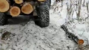 Лесовозный прицеп АРМАДА и МТЗ 1221 (Выборочная лесозаготовка. Отзыв владельца).mp4