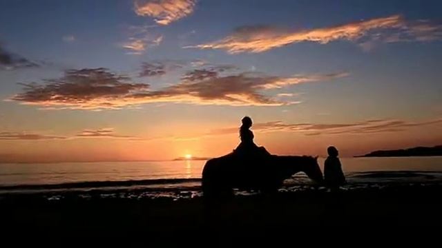 San Carlos Sonora Mexico - VIVESanCarlos смотреть онлайн