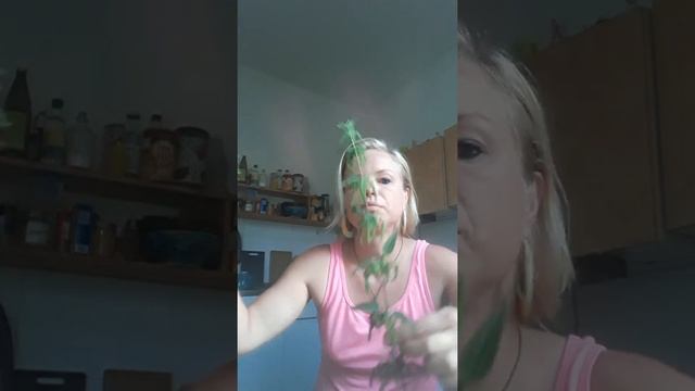 #19 Heilung für mich, für dich, für alle смотреть онлайн