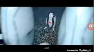 Подборка песен portal и portal 2