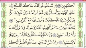 Шейх Айман Сувейд сура  Аль Анфаль стр 179