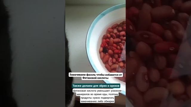 Почему вредно есть орехи и фасоль? смотреть онлайн