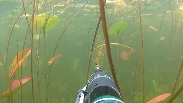 подводная охота 2015 смотреть онлайн