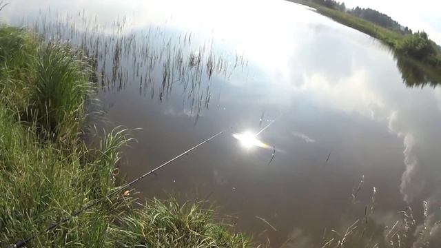 Рыбалка с Семьей! Детки ловят Карася, а дедушка Ратанов в Московской области (Солнечногорск) смотреть онлайн