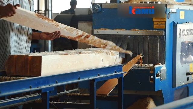 Двухвальный многопильный станок Walter WD-170 KBA _ Продольная распиловка бруса на доски смотреть онлайн