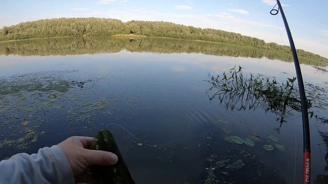 JIG RIG ОТВОДНОЙ Вечерняя рыбалка на Оке Рыбалка на спиннинг смотреть онлайн
