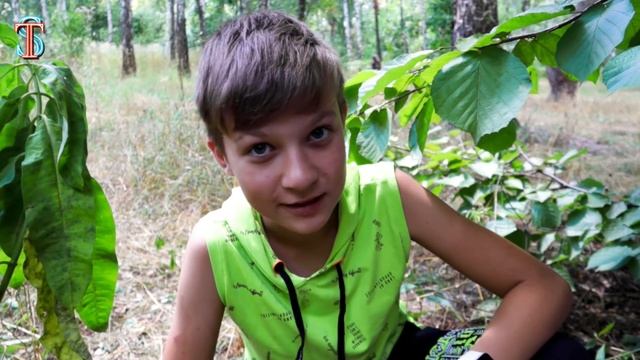 Тима СПАСАЕТ малыша Сиреноголового от охотников Пришельцев! 2 серия 3 сезон смотреть онлайн