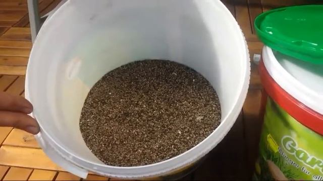 Рассада помидор Удобрение смотреть онлайн