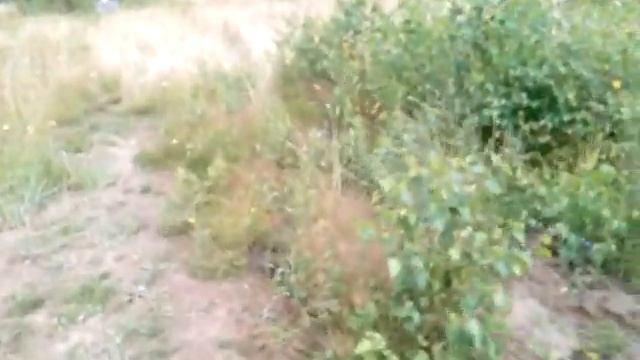 Кронштейн ВОМЗ на вепрь 308 полный отстой. смотреть онлайн