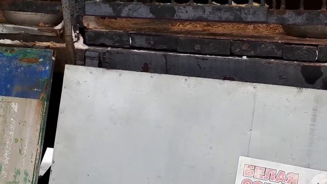 Зоопарк Сафари 2 часть 20180118 124402 смотреть онлайн