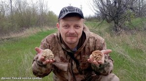 Степные сморчки или гарашки| ГРИБЫ 2023