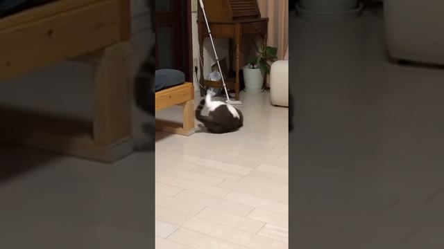 И так сойдет смотреть онлайн