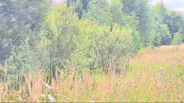 зу :561 в д. Мостки смотреть онлайн