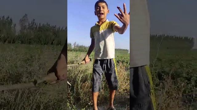 Dunyo seni tog'angmas | Дунё сени тогангмас (yangi KLIP) смотреть онлайн