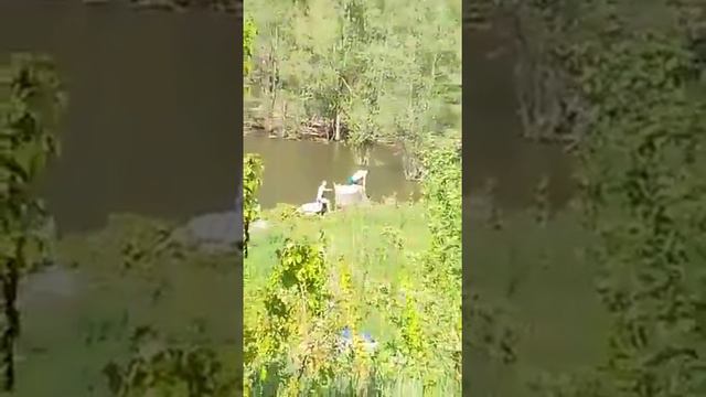 VID 20170527 WA0014 смотреть онлайн