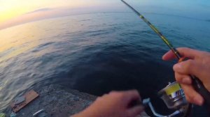 Ловля саргана на бомбарду на Черном море в ялте Самый лучший способ поймать саргана с берега.