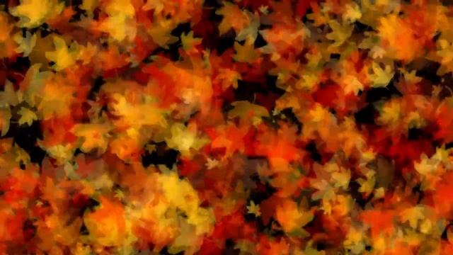 ЛИСТОПАД, кружатся и падают листья смотреть онлайн