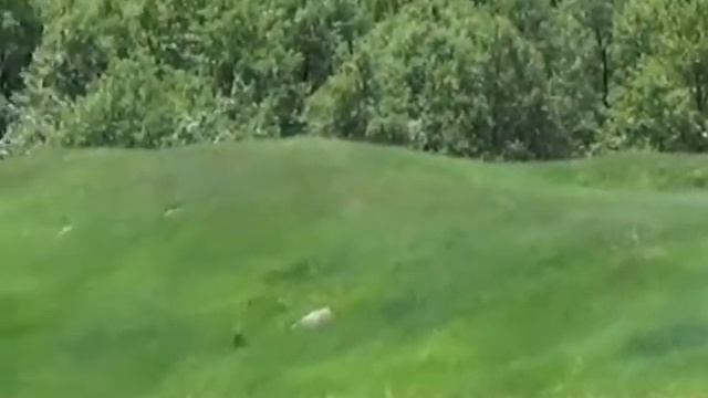 Щигровское Городище смотреть онлайн