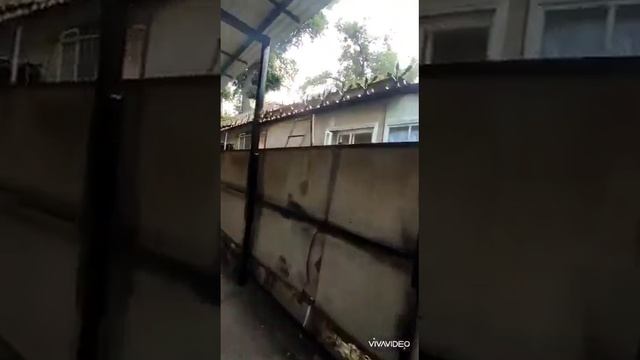 навес забор и водостек смотреть онлайн