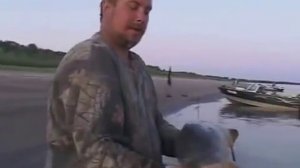 Ловля сазана на реке Нижняя Волга часть 1