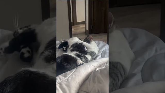 Котношения смотреть онлайн