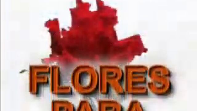 FLORES PARA BEATRIZ - HOMENAGEM 16/12/2007 смотреть онлайн