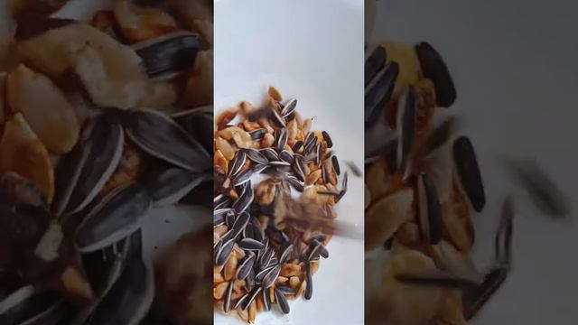 Кормушка для птиц? так необходима холодной зимой ❄ #кормушкадляптиц #кормушка смотреть онлайн