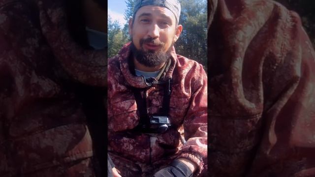 Полное видео на канале: РЫБАЛКА НА БЕЛОЯРСКОЙ ЯМЕ ловлю щуку которая начинает просыпаться от жары смотреть онлайн