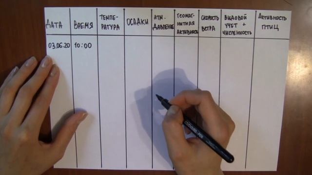 Как влияют погодные условия на поведение птиц? смотреть онлайн