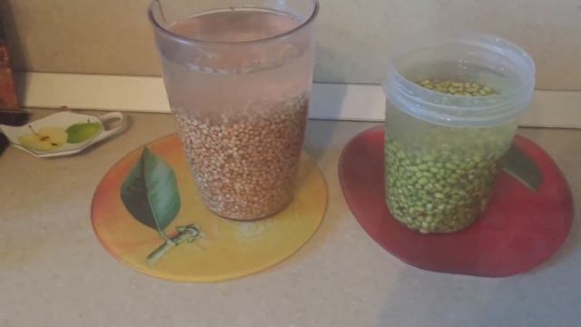 81.USA/Florida. Мои рецепты здорового питания смотреть онлайн