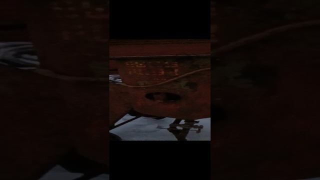 Весёлые истории