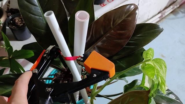 Цветочная комната. Работа кипит! смотреть онлайн