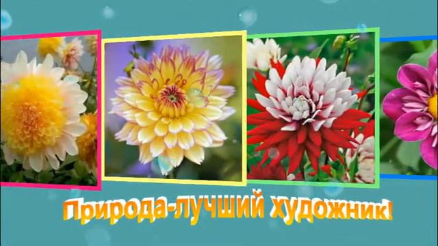 #Вмирецветовимузыки #Георгины #Музыка #morningstroll #утренняяпрогулка смотреть онлайн