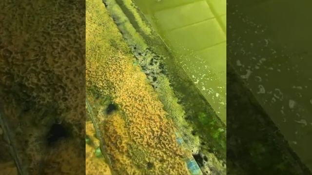 Очистка бассейна смотреть онлайн