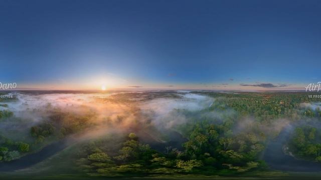 Misty Morning. Spring Forest Relaxation. Bryansk Forest, Russia. 360 aerial video in 12K смотреть онлайн