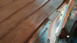 Деревенское содержание кроликов в сарае.