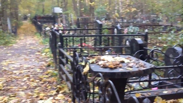 Star Studded Scandals