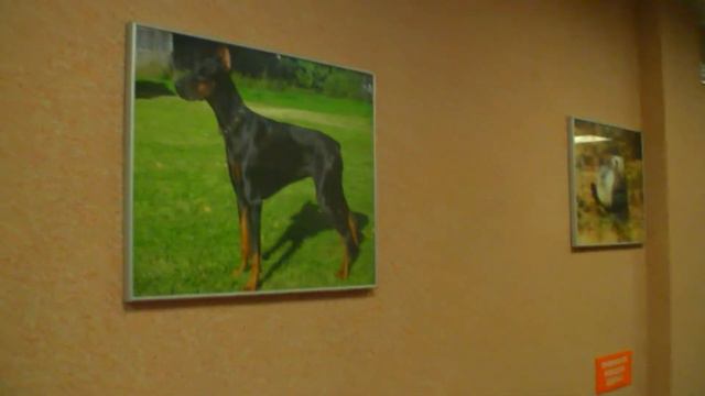 Клёпа смотреть онлайн