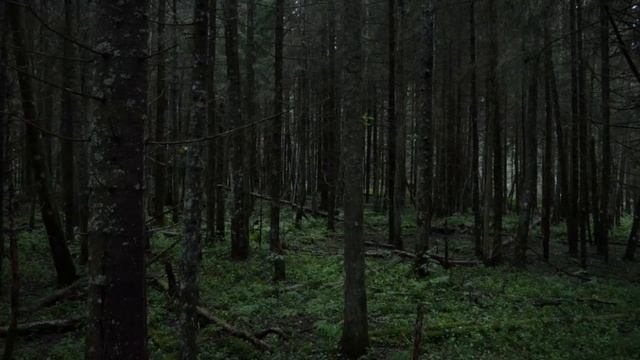 Различные формы беснования. Борьба с влиянием злых духов. Беседы на Евангелие от Марка. смотреть онлайн