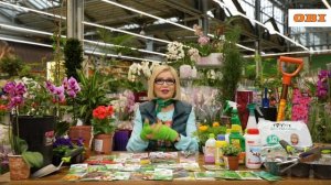 Ганичкина ОБИ