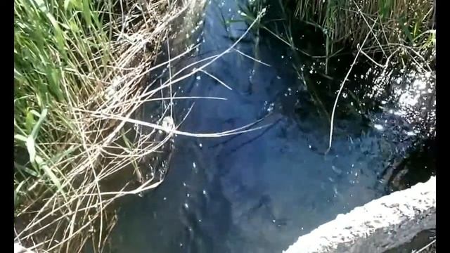 Сельские прогулки: Орловка смотреть онлайн
