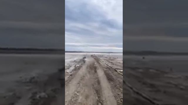 Печальная участь Кобейтуза настигла и второе розовое озеро в Казахстане смотреть онлайн