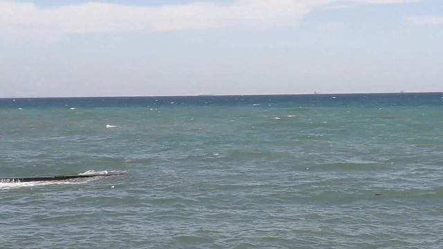 Black Sea Magic / Магія Чорного моря/ September 2019 Frank Sinatra Witchcraft and Odesa смотреть онлайн