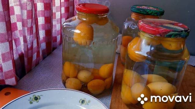 ДЕЛАЮ КОМПОТ С АБРИКОСАМИ 🍊 смотреть онлайн