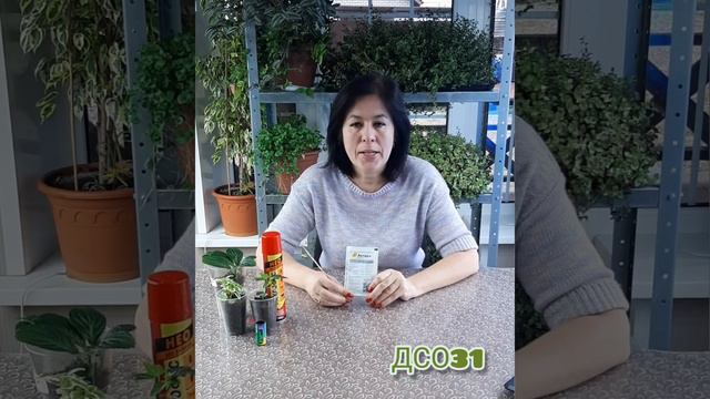 🦟🚫🌱 Земляной комарик