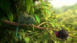 Типичный хамелеон