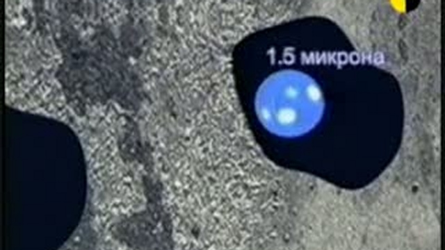 pravda prezerv. смотреть онлайн